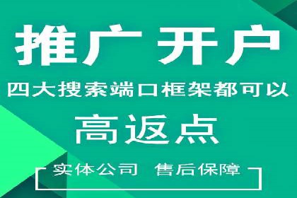 百度推广运营成功案例：行业领先企业的秘诀
